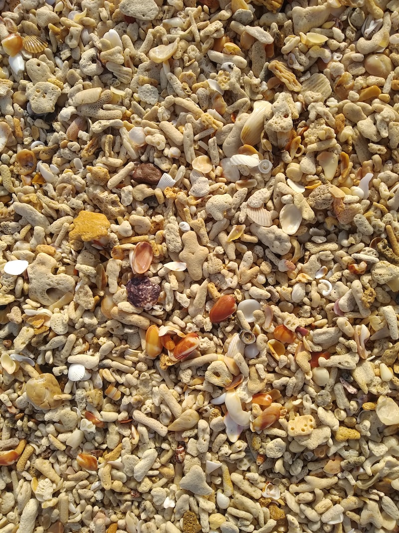 Sorgun Halk Dansları ve Gösterileri Sorgun Halk Dansları ve Gösterileri