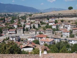 Sorgun’da Hayvanseverlere Yönelik Çalışmalar